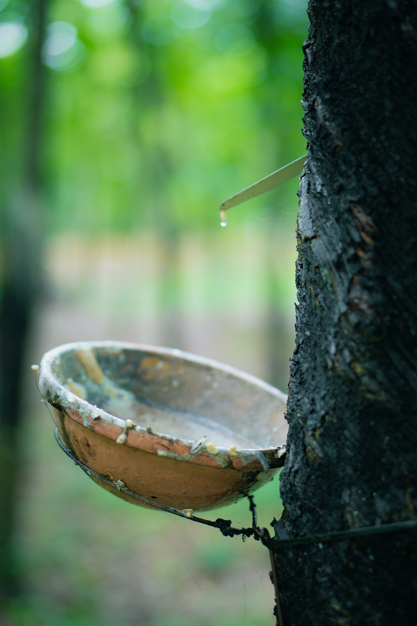 Natural Rubber Latex Concentration Analysis